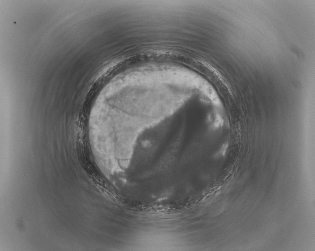 X0000115670823200912101110