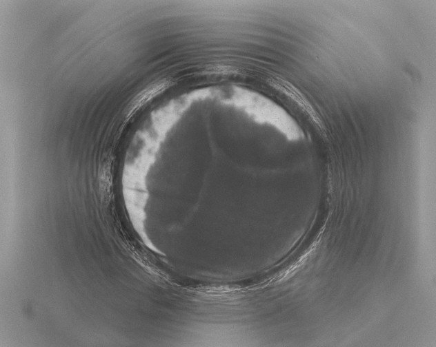 X0000115670826200912101110