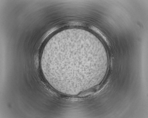 X0000115670829200912101110