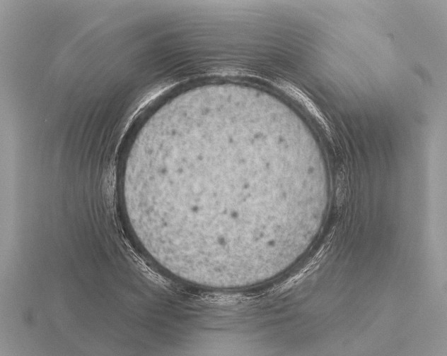 X0000115670831200912101110