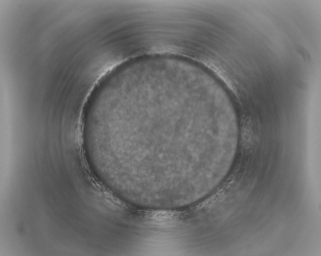 X0000115670832200912101110