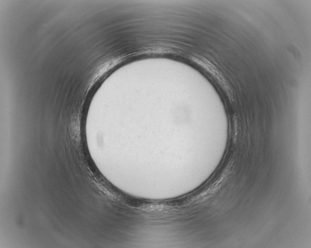 X0000115670834200912101110