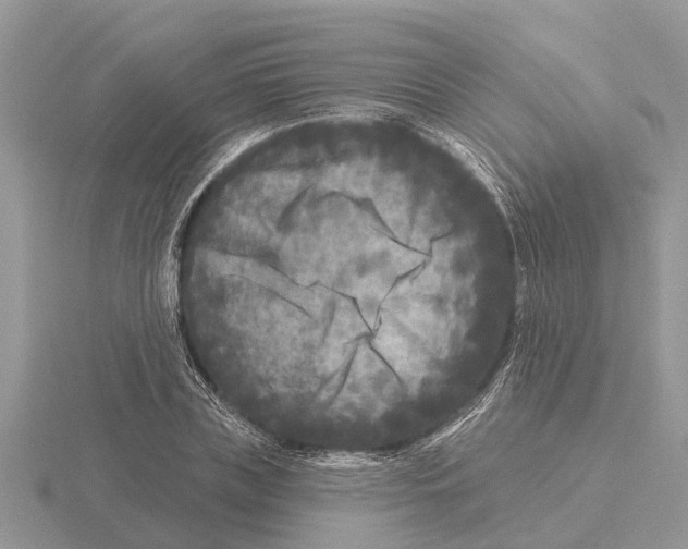 X0000115670835200912101110