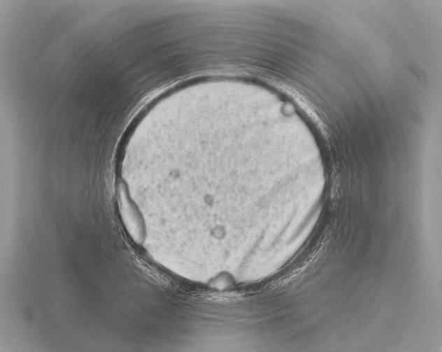 X0000115670837200912101110