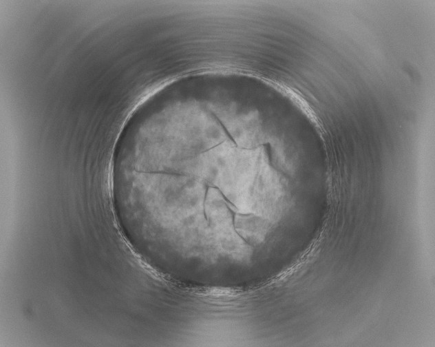 X0000115670839200912101110