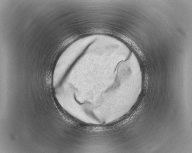 X0000115670841200912101110