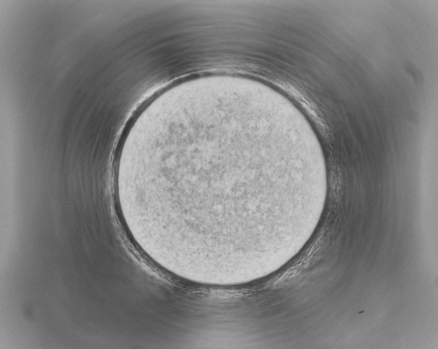 X0000115670848200912101110