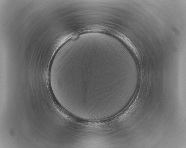 X0000115670850200912101110