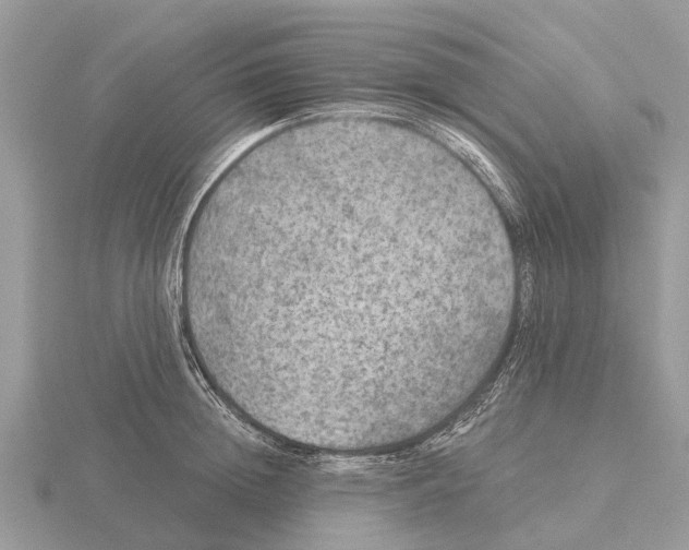 X0000115670852200912101110