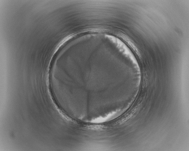 X0000115670853200912101110