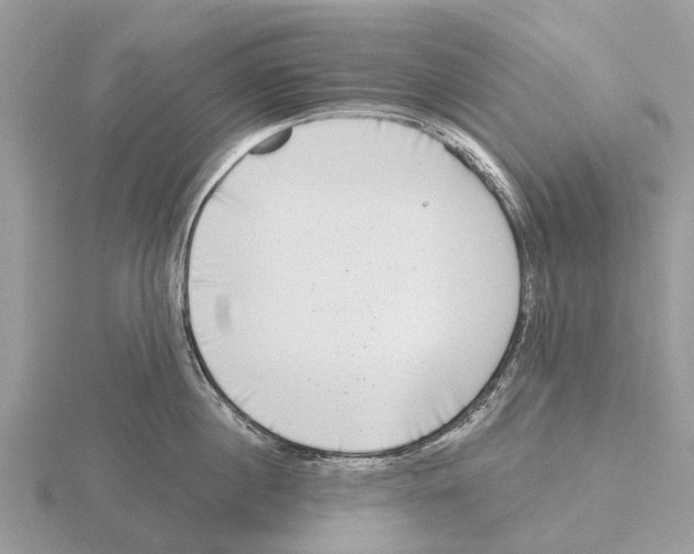 X0000115670860200912101111