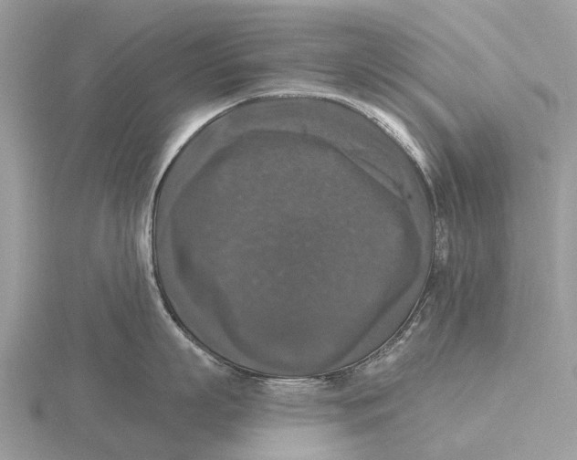 X0000115670863200912101111