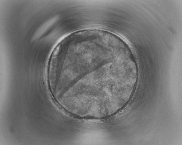 X0000115670864200912101111