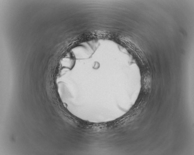 X0000115670865200912101110