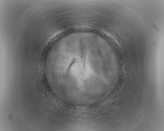 X0000115670870200912101110