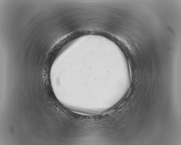 X0000115670872200912101110