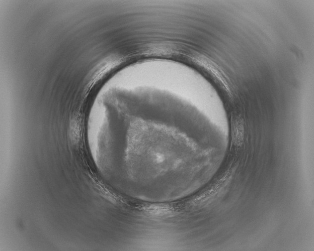 X0000115670874200912101110