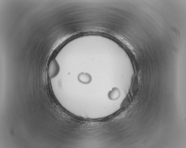 X0000115670877200912101110