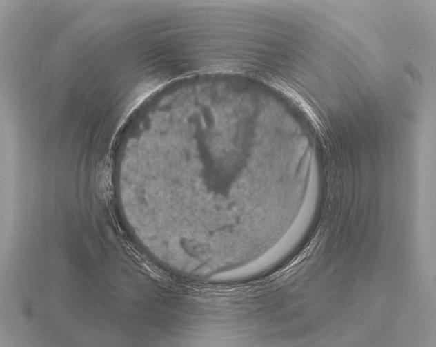 X0000115670878200912101110