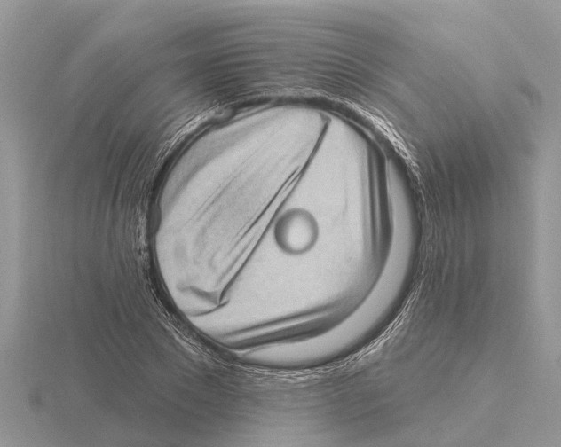 X0000115670881200912101110