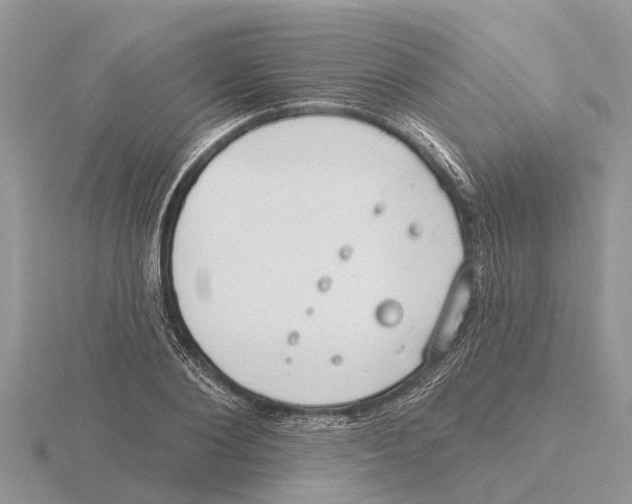 X0000115670884200912101110