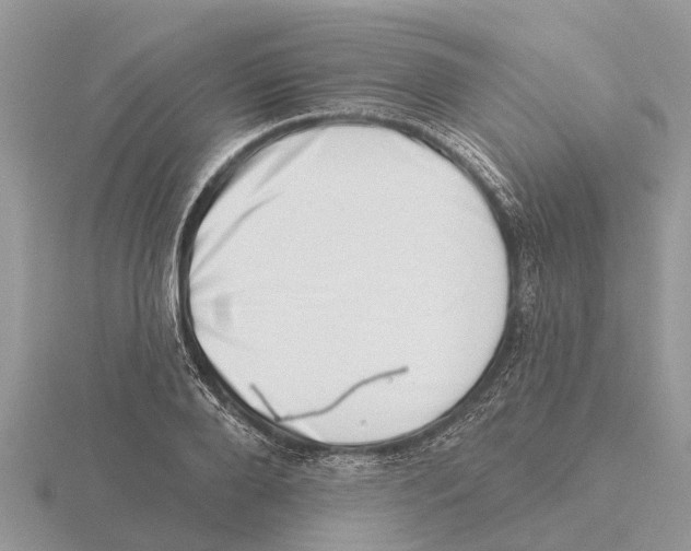 X0000115670888200912101110