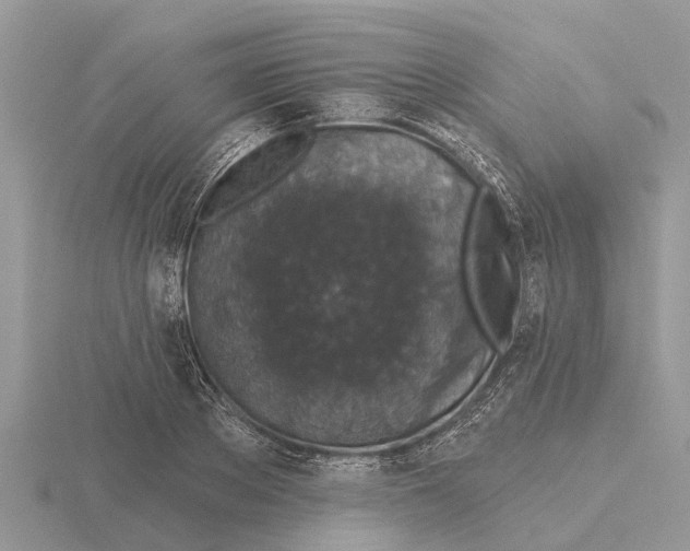 X0000115670889200912101110