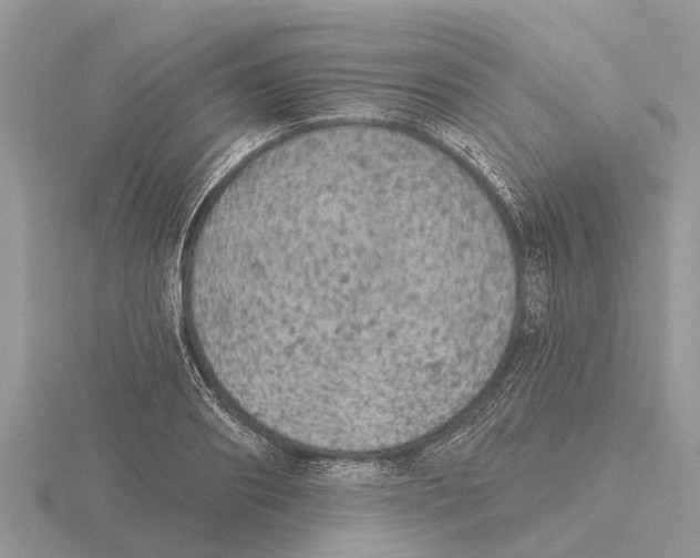 X0000115670890200912101110