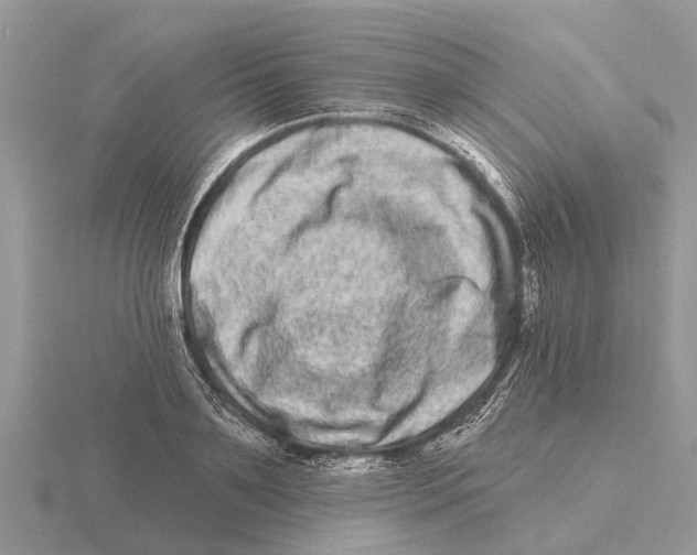 X0000115670891200912101110