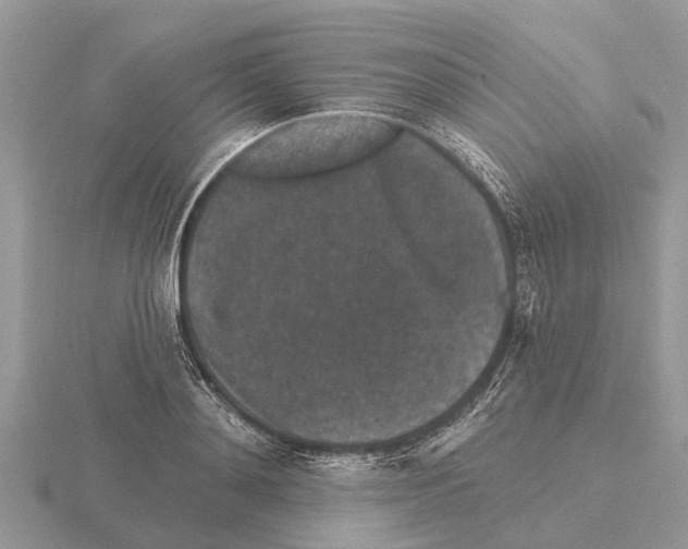 X0000115670892200912101110