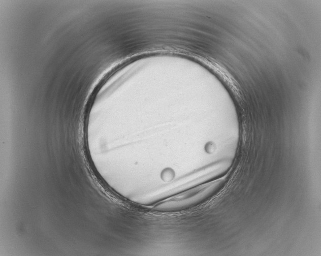 X0000115670896200912101110