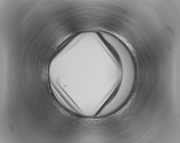 X0000115670897200912101110