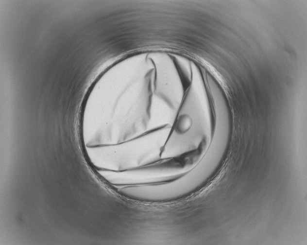 X0000115670901200912101109