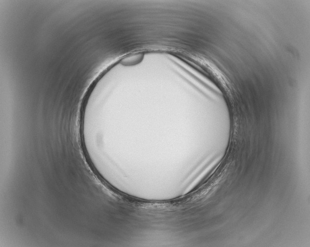 X0000115670902200912101109