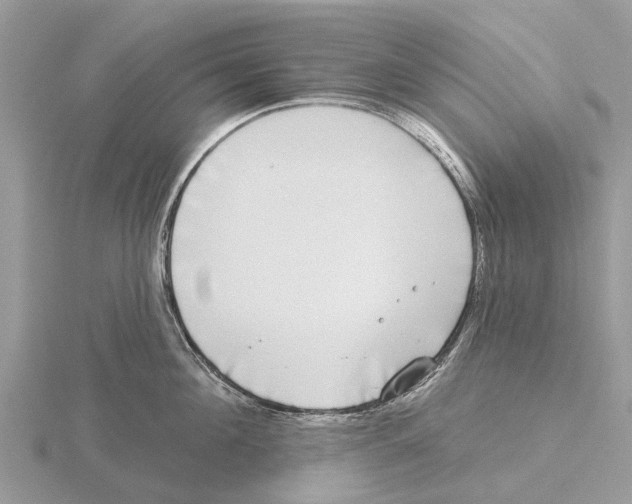 X0000115670908200912101109