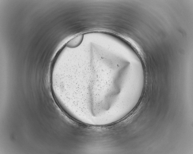 X0000115670910200912101109