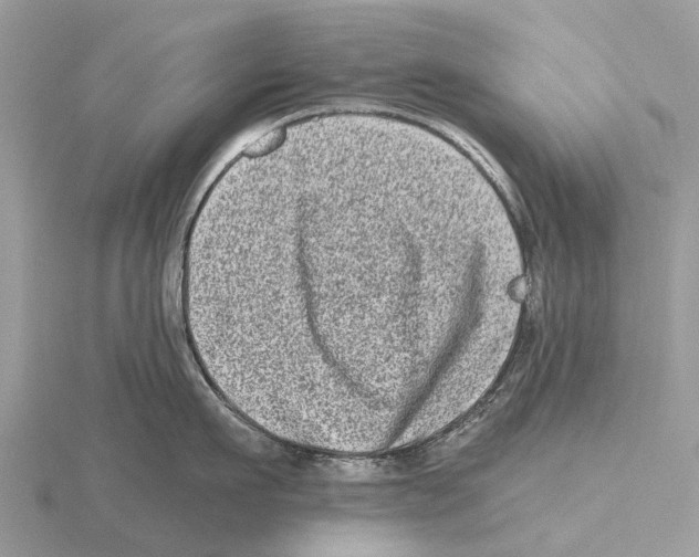 X0000115670911200912101109