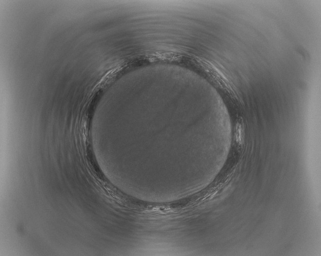 X0000115670915200912101109