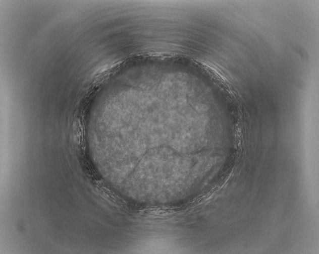 X0000115670917200912101109