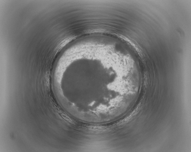 X0000115670921200912101109