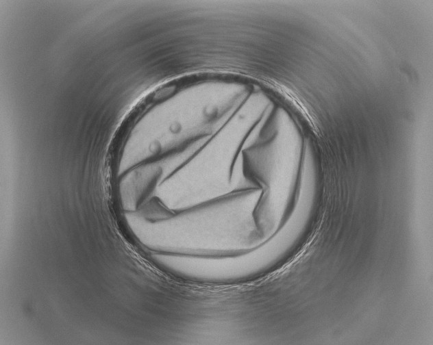 X0000115670926200912101109