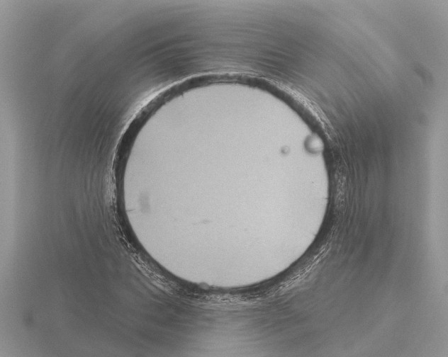 X0000115670927200912101109