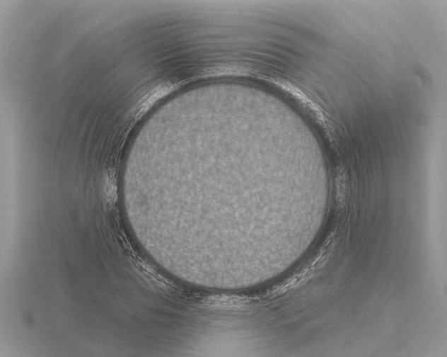 X0000115670929200912101109