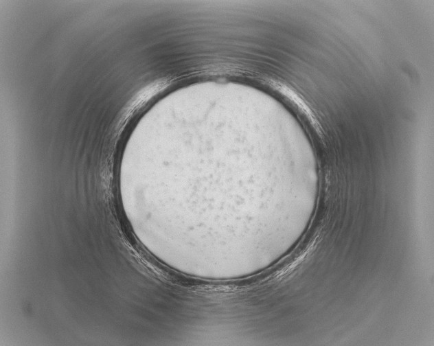 X0000115670930200912101109