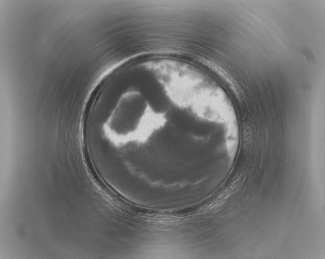 X0000115670935200912101109