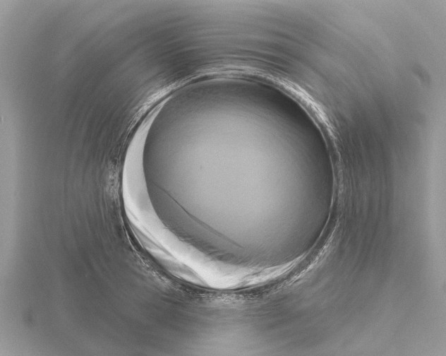 X0000115670945200912101109