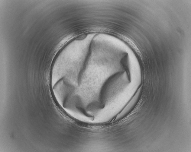 X0000115670946200912101109