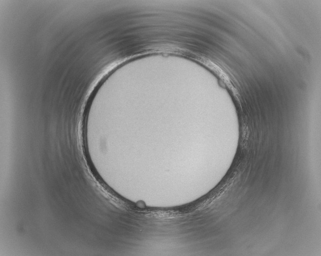 X0000115670947200912101109