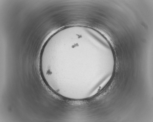 X0000115670949200912101109