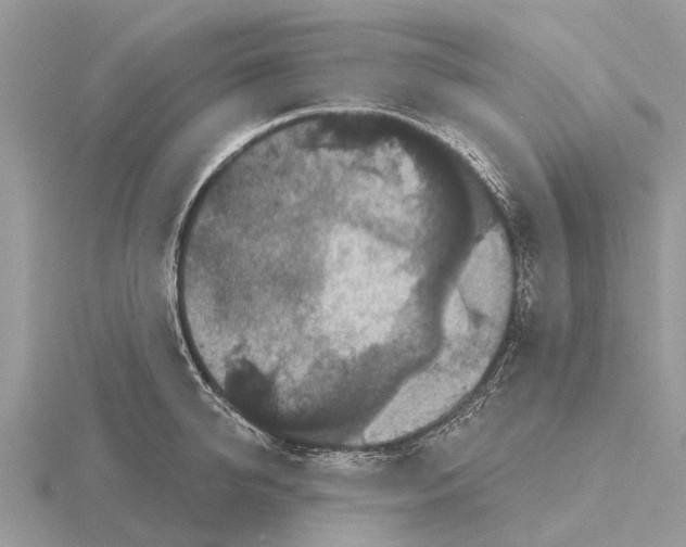 X0000115670950200912101109